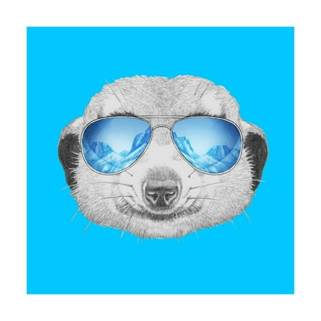 - Portrait of Mongoose with Mirror Sunglasses. Hand Drawn Illustration. Print Wall Art By victoria_novak