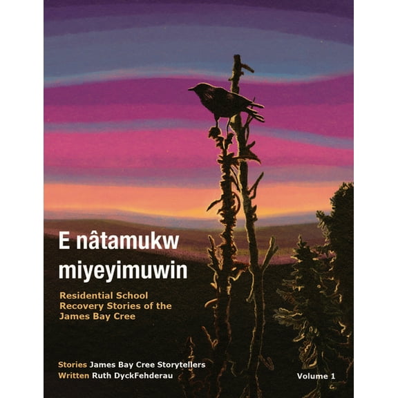 E Nâtamukw Miyeyimuwin: Residential School Recovery Stories of the James Bay Cree, Volume 1, (Paperback)