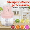 thumbnail image 1 of NARABB Mini Garlic Chopper, Garlic Press Mincer Pepper Chili Vegetable Meat Grinde - Kitchen Utensils, 1 of 9