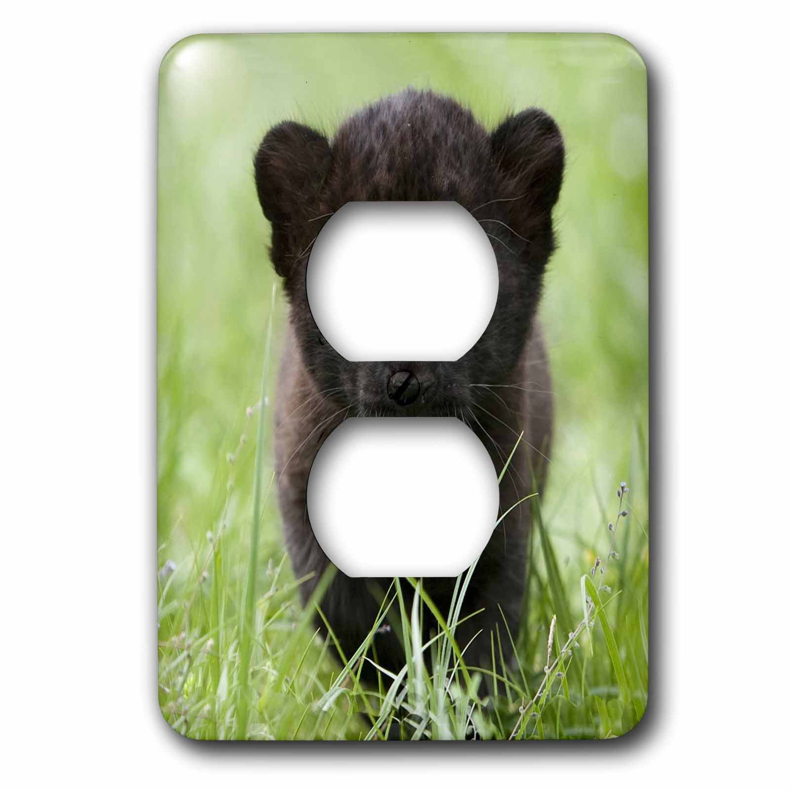 3dRose lsp_56802_6 Black Panther 2 Plug Outlet Cover 3dRose lsp_56802_6 Black Panther 2 Plug Outlet Cover