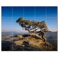 thumbnail image 1 of Trees Forest Ceramic Tile Mural Kitchen Backsplash Bathroom Shower, 401691-L54, 1 of 3