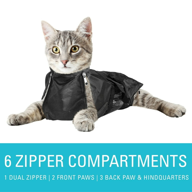 Walmart pet grooming outlet supplies
