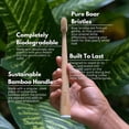 thumbnail image 2 of Cepillo de dientes PRIMALS Boar Bristle & Bamboo, paquete de 4, biodegradable, 2 of 9