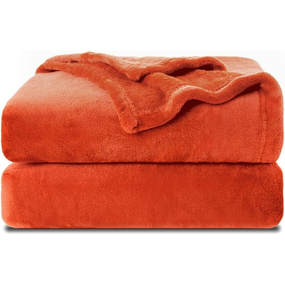 Knubmt Warm Fleece Throw Blanket Soft Lightweight Blanket Plush Blankets for Couch, Bed, Sofa, Chair, 20"x27"