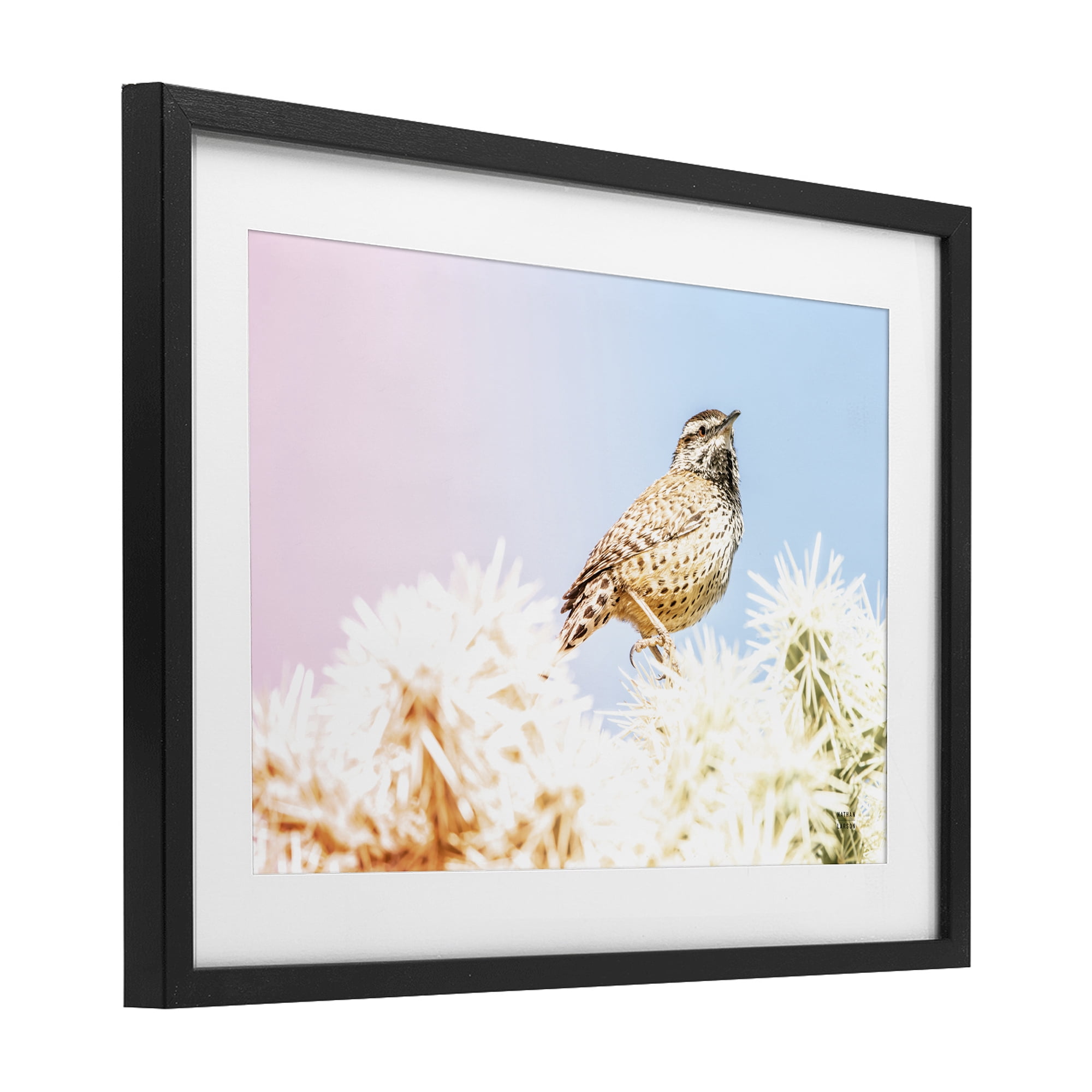 Stupell Industries Desert Song Bird Black Framed Print Under Glass, design by Nathan Larson