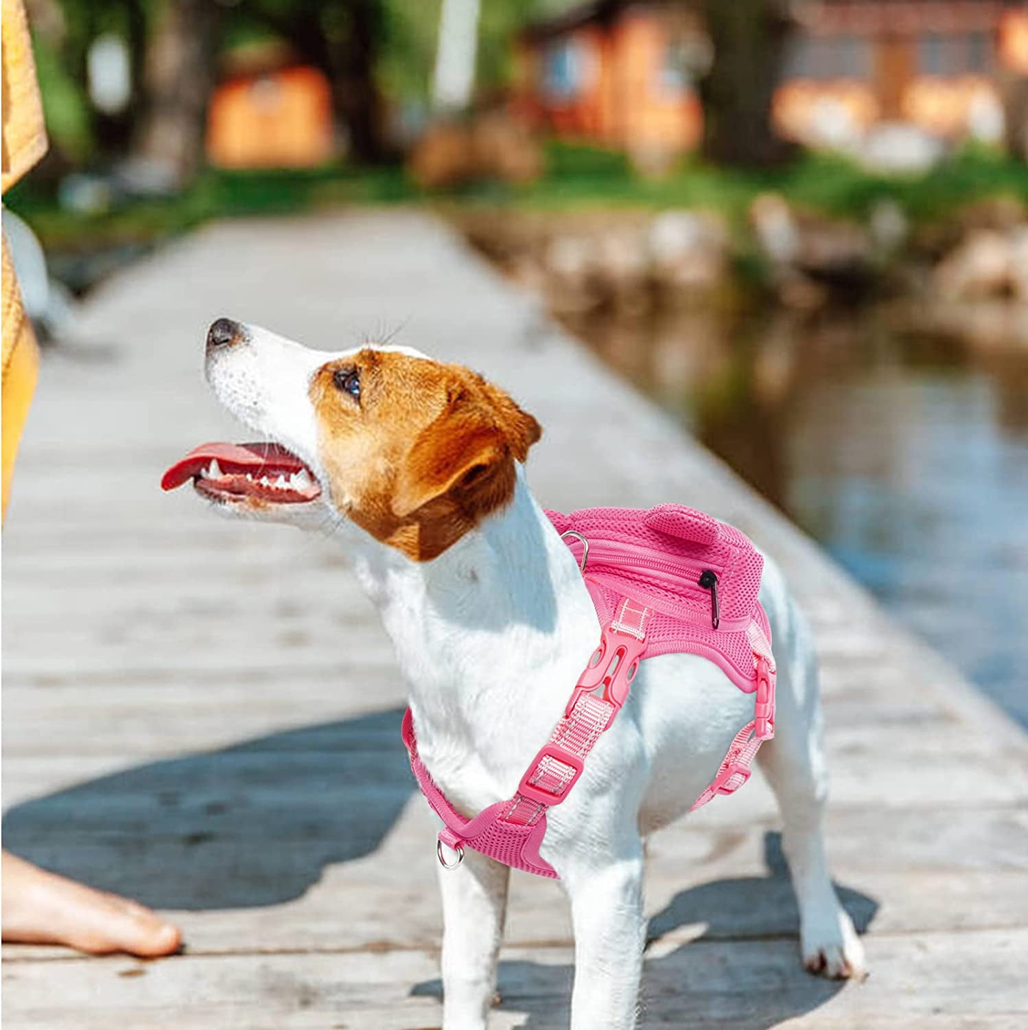 Small Dog Carrier OUOBOB Frog Harness No-Pull Vest For Small