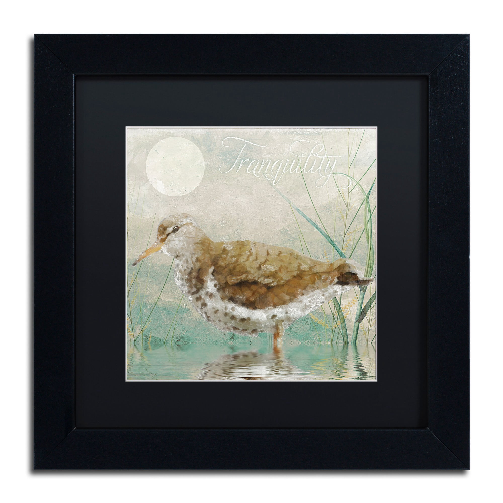 Trademark Fine Art "Sand Piper II" Canvas Art by Color Bakery Black Matte, Black Frame