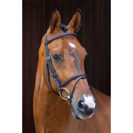Shires Velociti Padded Raised Flash Bridle - Premium Padded Leather English Bridle Havana / Xfull