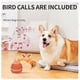 thumbnail image 2 of Power Tail 2.0 Dog Toy, Interactive Dog Ball, Jumping Ball Toy, USB Rechargeable, 2 of 5