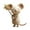 C, variant on Hotpom Handmade Felt Mouse Ornament Cute Mini Animal Gift Suitable for Nativity Scenes Stocking Stuffers and Desktop Ornaments Christmas Tree Accessory