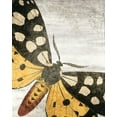 thumbnail image 2 of Kimberly, Allen 12x14 Black Ornate Wood Framed with Double Matting Museum Art Print Titled - Vintage Butterfly 1, 2 of 4