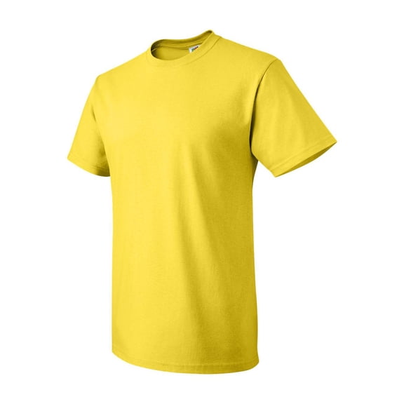 Fruit of the Loom HD Cotton T-Shirt for Men and for Women Short Sleeve Classic