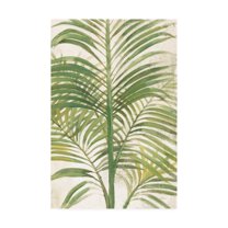 Trademark Fine Art 'Palms II Bright' Canvas Art by Albena Hristova