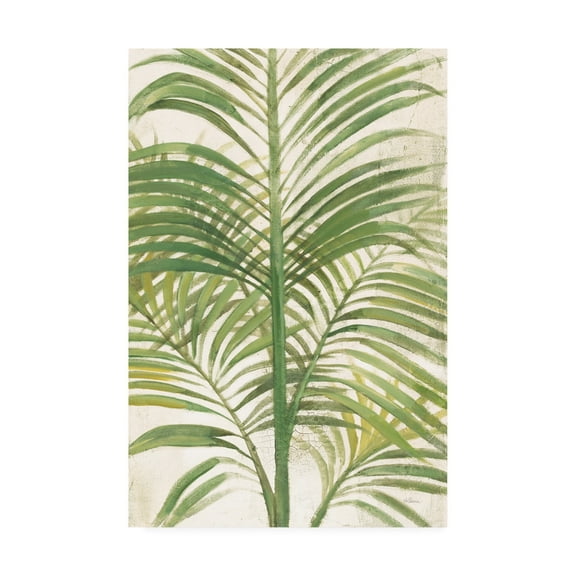 Trademark Fine Art 'Palms II Bright' Canvas Art by Albena Hristova