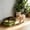 Green GN, variant on AuroraX Cat Litter Box with Lid Odor Control Covered Litter Box Semi Enclosed Top Entry 2 Pcs Leak-Proof High Sides Indoor Pet Supplies Green National Dog Day International Cat Day
