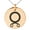 Rose, variant on Stainless Steel Troll Cross Viking Norse Engraved Small Medallion Circle Charm Pendant Necklace