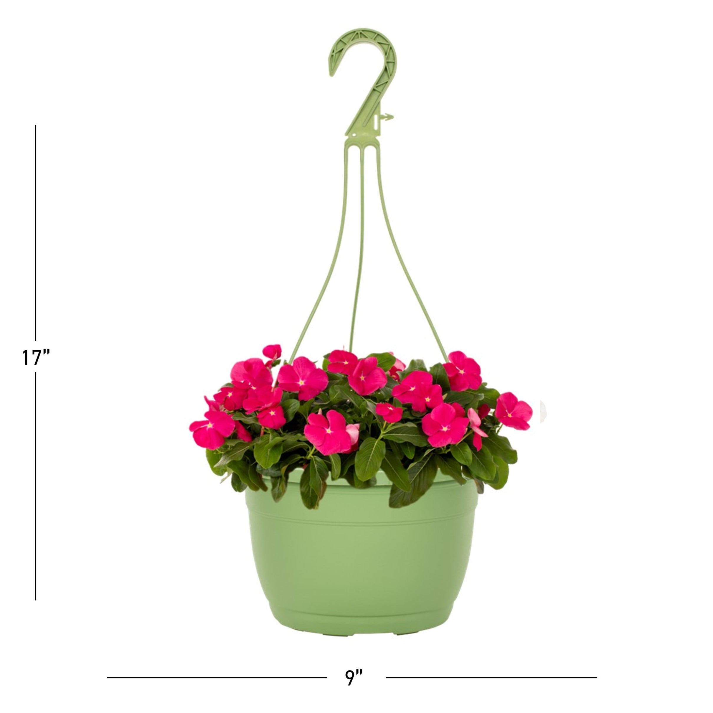 Expert Gardener 1.5gal Pink Vinca Live Annual Plant Hanging Basket Sun