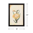 thumbnail image 5 of Northlight Desert Cereus Floral Photo Framed Wall Art - 26” x 18" - Black and Beige, 5 of 9