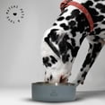 thumbnail image 4 of Plato para Perro MATCHI Acero Inoxidable Antiderrapante Antiderrame para Mascotas, 4 of 7