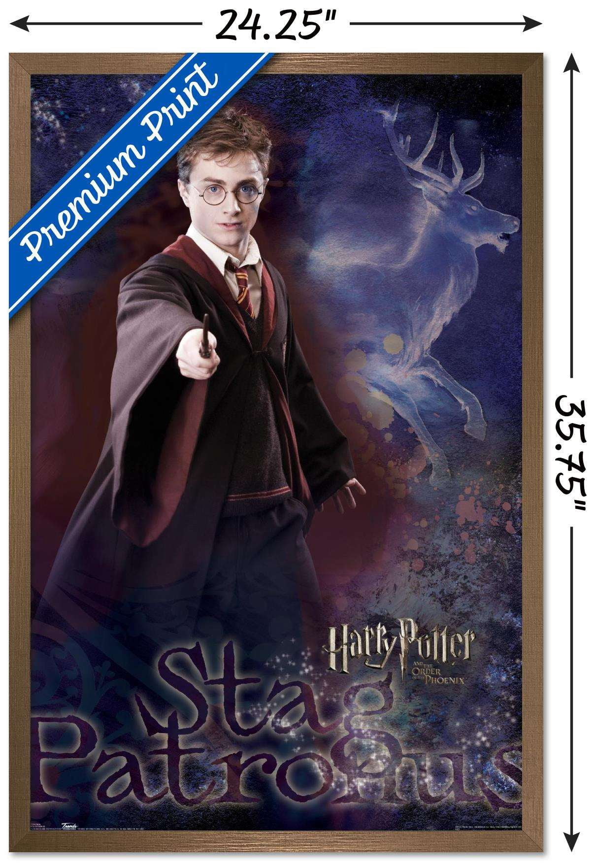 Harry Potter and the Order of the Phoenix - Patronus Wall Poster, 22.375" x 34", Framed