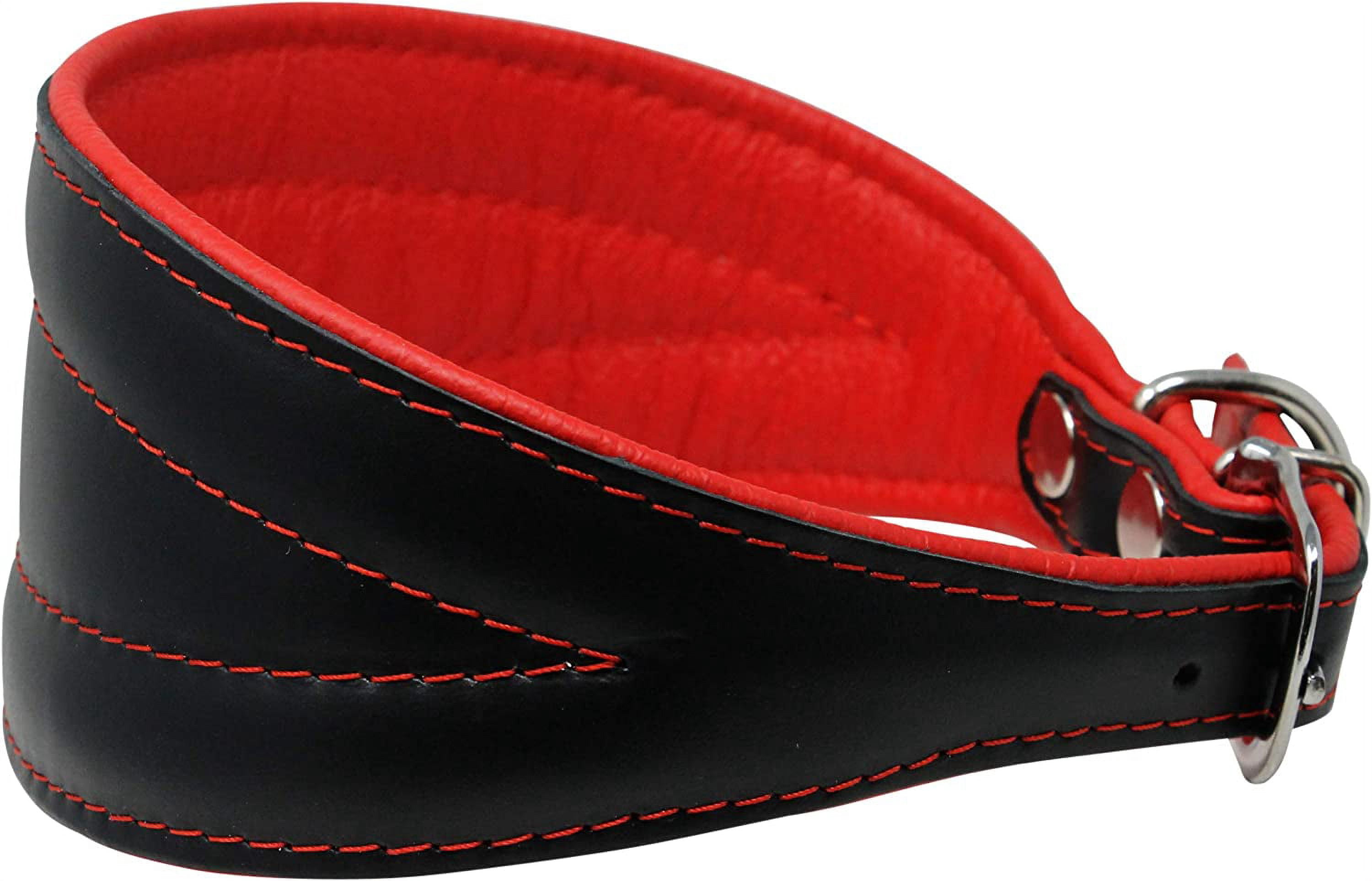 Real Leather Extra Wide Padded Tapered Dog Collar Glossy Black Greyhound Saluki Deerhound Lurcher Whippet Dachshund (8"-9.5" Neck; 1.75" Wide, Red)