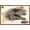 Bronze Framed Version, variant on Jurassic World: Dominion - Ghost Wall Poster, 14.725" x 22.375"
