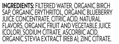 Treo Blueberry Flavored-Infused Bottled Birch Water, 16 oz