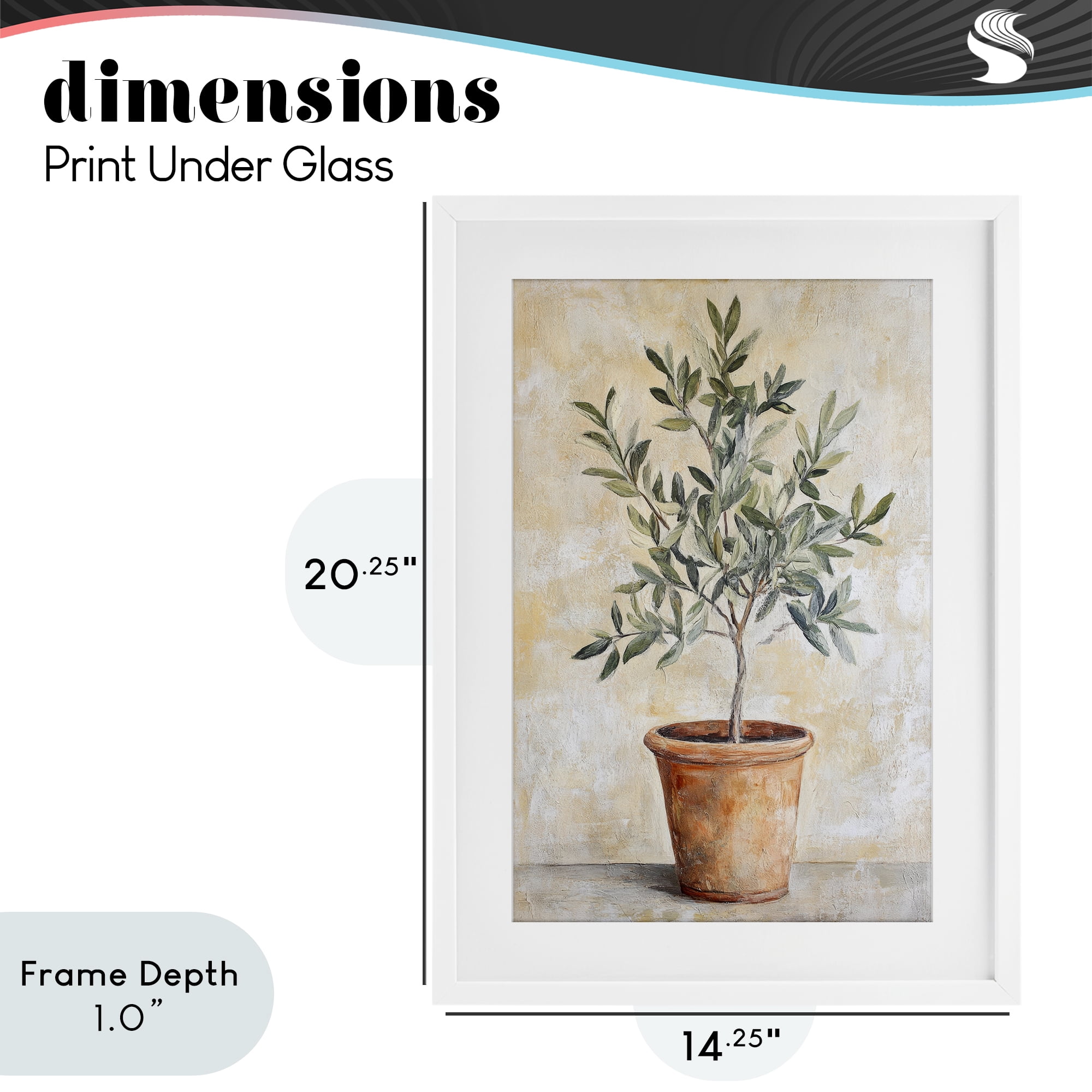 Stupell Industries House Plant in Terracotta White Framed Print Under Glass, design by Petal Prints Design