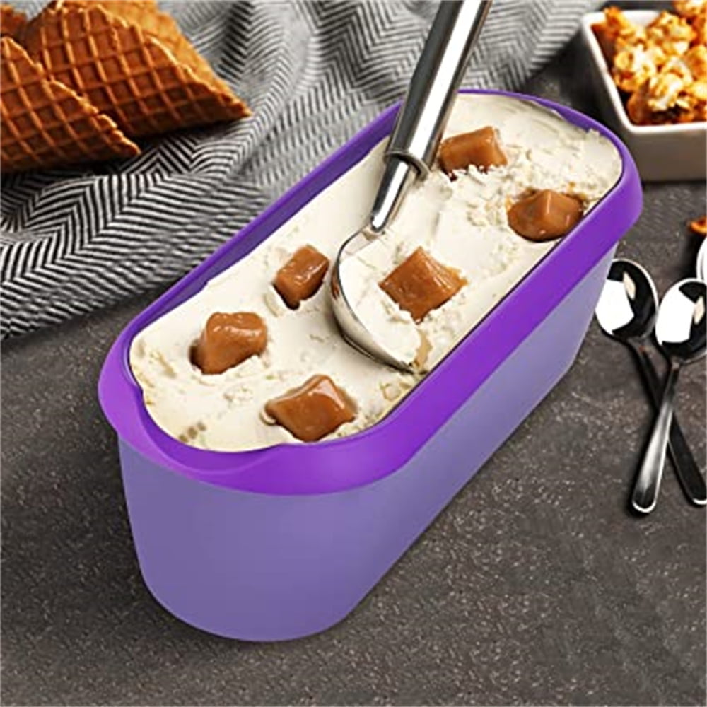 Ice Cream Containers for Homemade Ice Cream (2 large +4 small