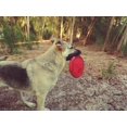 thumbnail image 3 of Juguete de disco volador de goma duradera para perros JAMW Sencillez, 3 of 5