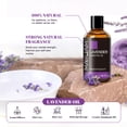 thumbnail image 6 of MAYJAM 3.38 fl oz Lavender Essential Oil for Diffuser, Lavender Scented Oil for Sleep, Body, Aromatherapy, Air Freshener, 6 of 8