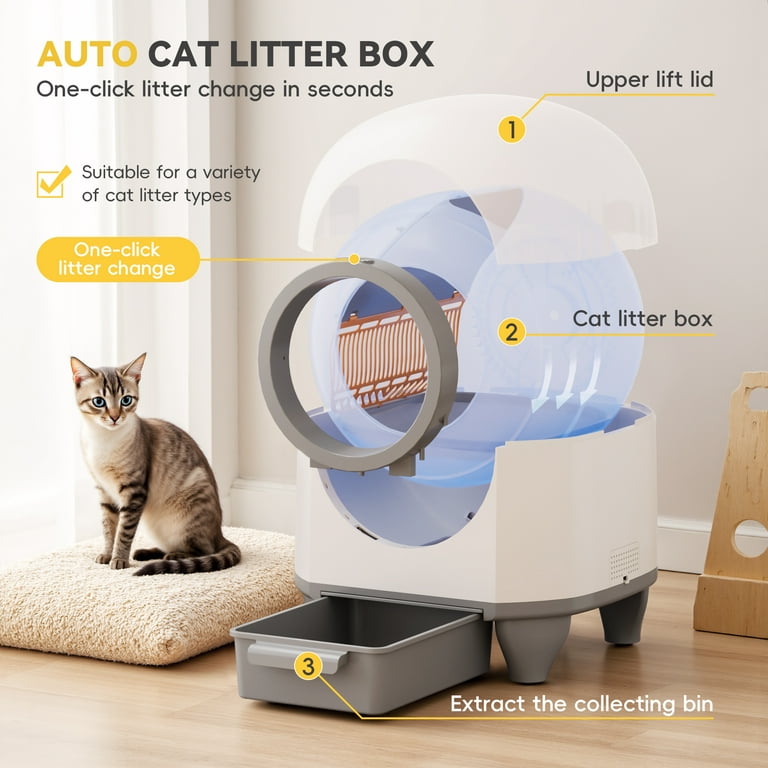Litter Habits How Often To Change Kitty Litter Box How Often