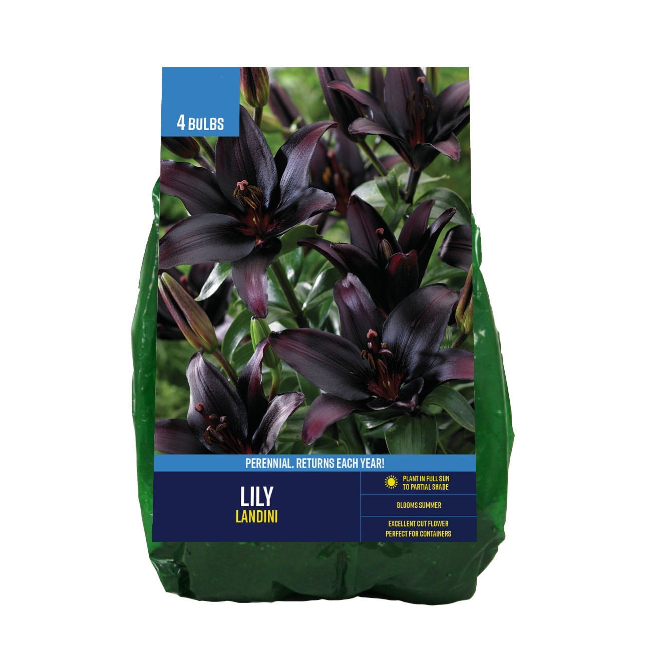 その他 lily fpls-14-1182977-g001.jpg