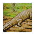 thumbnail image 3 of "Crocodile in the Swamp" - Canvas, 3 of 25