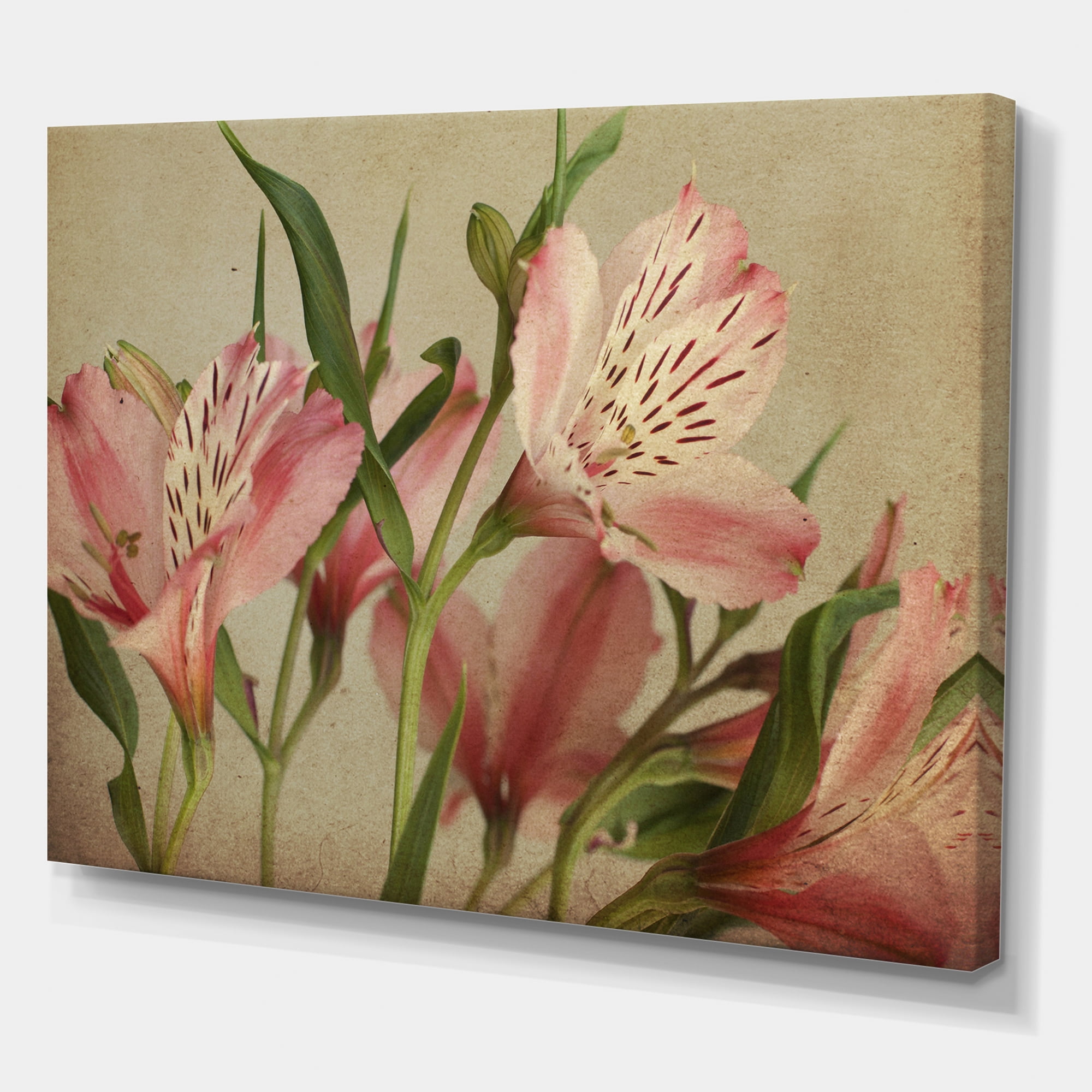 Designart ' Alstroemeria Flower Retro ' Traditional Canvas Wall Art Print
