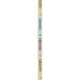 thumbnail image 2 of Offray 3/8" Microspool Crayons Ribbon, 2 of 3