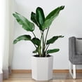 thumbnail image 2 of EastVita Set of 2 - 16" Tall Self-Watering Planters with Water Level Monitor, Bottom Wheels and Drainage Hole, Indoor/Outdoor Plant Pots for Garden, 2 of 7
