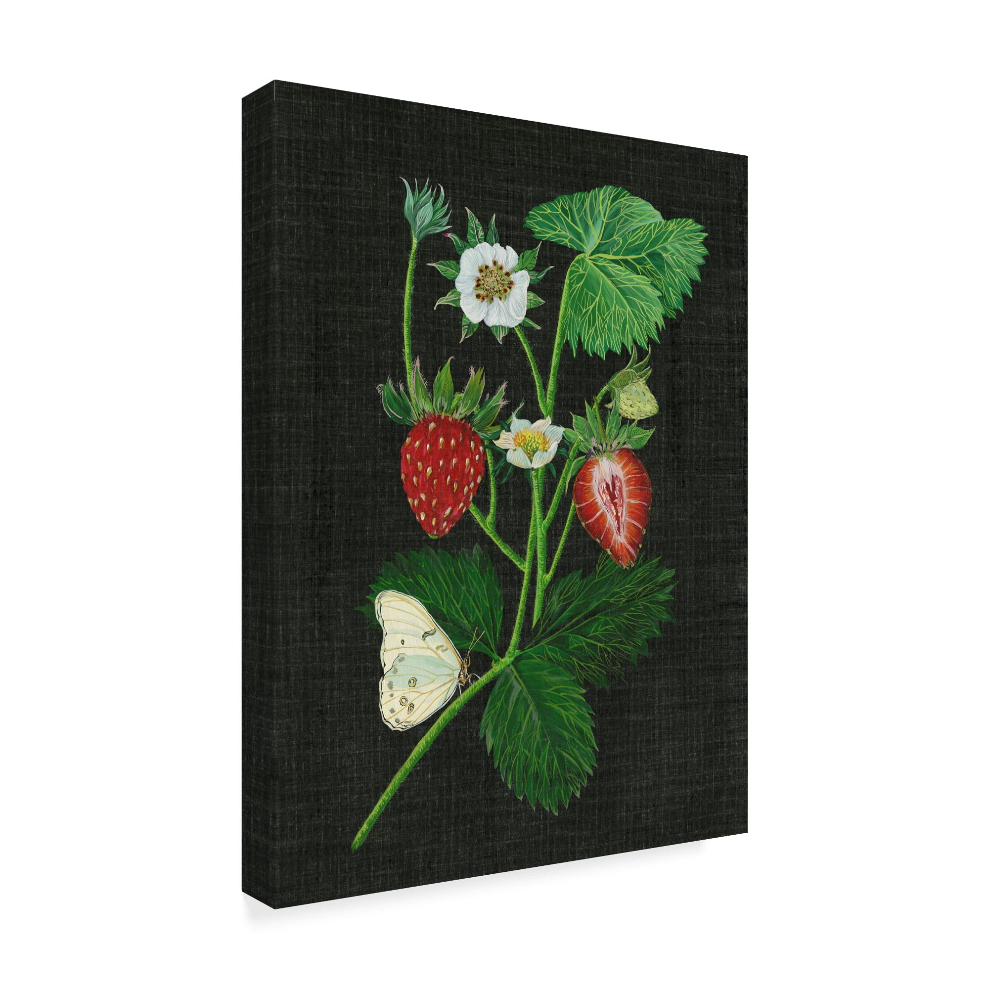 Trademark Fine Art 'Strawberry Fields I' Canvas Art by Melissa Wang