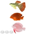 thumbnail image 2 of Cergrey Silicone Fish Tank Decor,Fake Fish For Fish Tank,3Pcs Simulation Tropical Fish Landscaping Decorations Fake Guppy Angelfish For Fish Tank Aquarium, 2 of 8