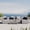 Gray, variant on Modway Saybrook 6-Piece Fabric Outdoor Patio Sectional Sofa in White