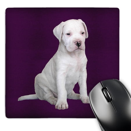 3dRose  Argentine Dogo Puppy  MousePad price history on PriceWatchPro