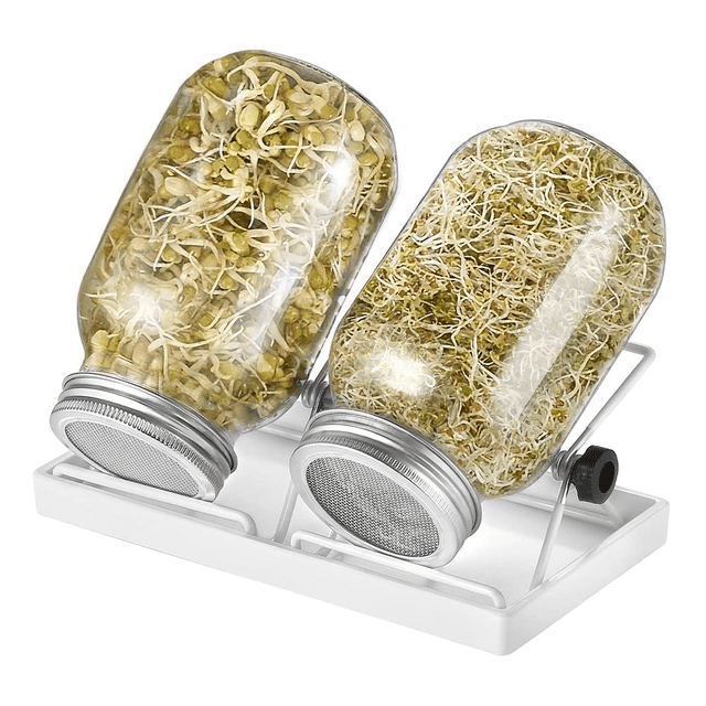 Juego de 2 tarros de germinación para brotes de cristal con 1 recipiente de agua, 2 cubiertas de rejilla de filtro de acero inoxidable 304 y 2 soportes.