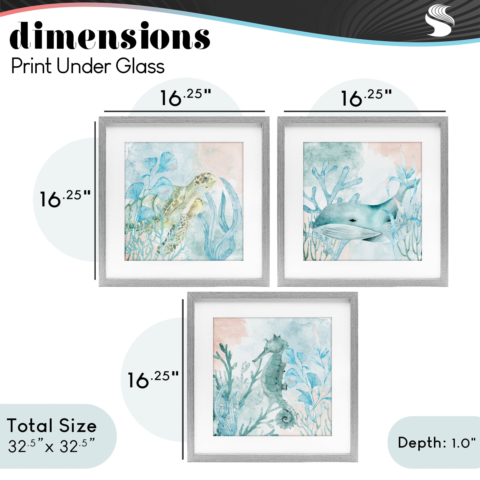 Stupell Industries Aquatic Animals Sea Swim 3 Piece Gray Framed Print Under Glass Set, design by Kim Allen