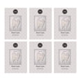 thumbnail image 1 of Ambientador en bolsita Bridgewater Candle Sweet Grace, paquete de 6, 1 of 6