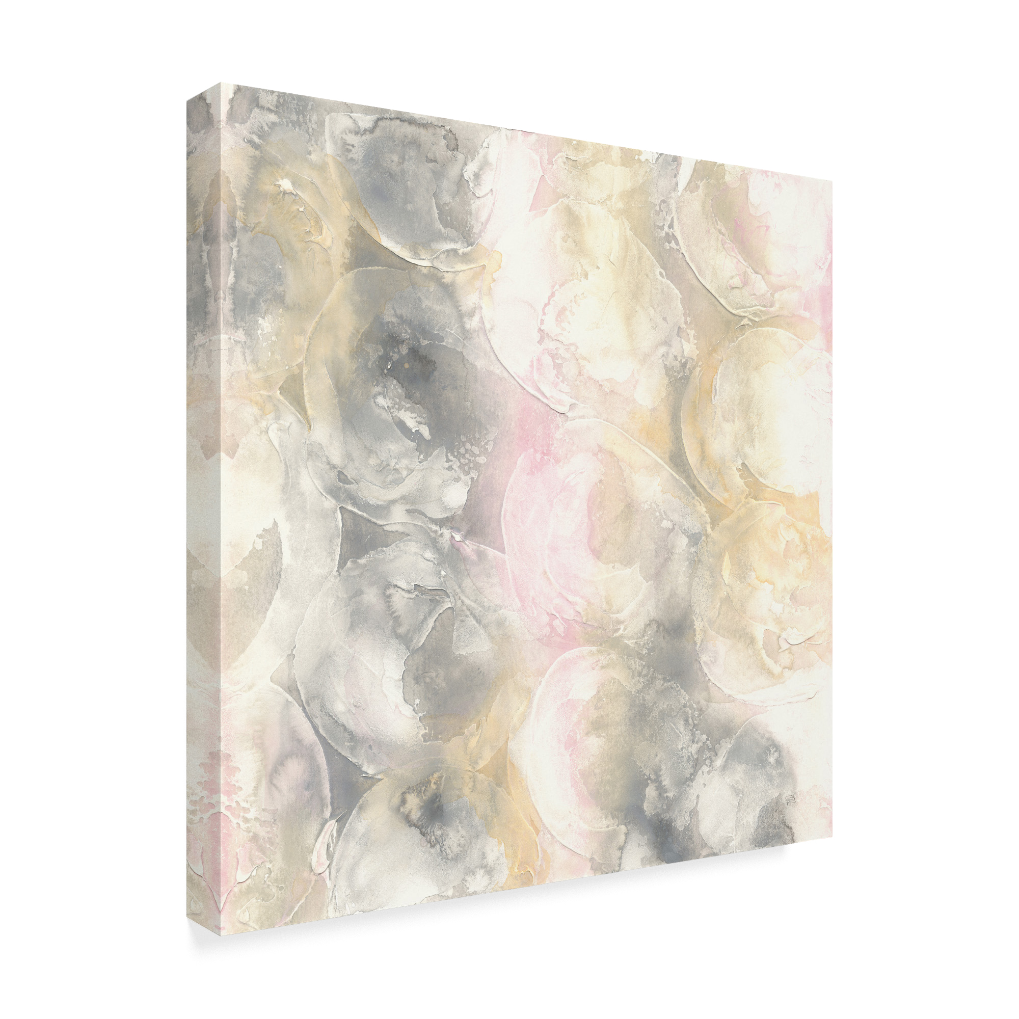 Trademark Fine Art 'Blush Circles II' Canvas Art by Chris Paschke