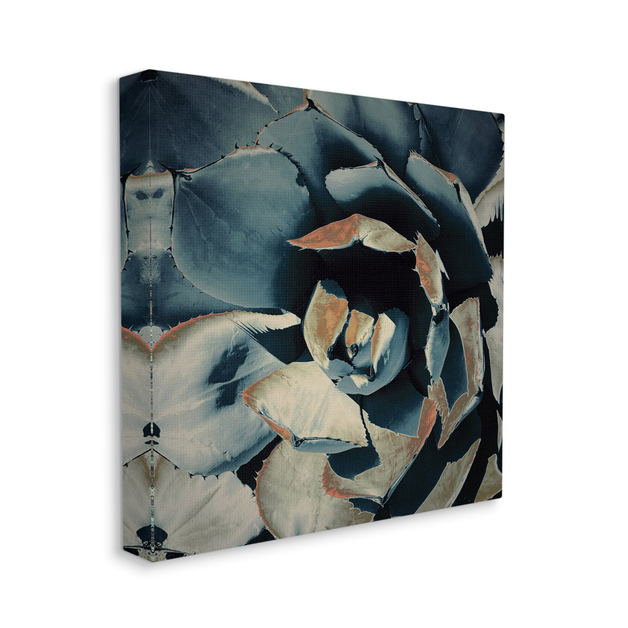 Stupell Industries Modern Succulent Leaves Botanical & Floral Painting Gallery Wrapped Canvas Print Wall Art, 17 x 17