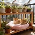 thumbnail image 4 of Pet Bed for Cats and Small Dogs Soft Lint Round Cushion 50cm,Comfortable Warm Sleeping Mat Indoor Use Spring,Fall,Winter, 4 of 6