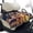 Tree Coconut, variant on KUIFORTI Brown Leopard Print Golf Cart Seat Cover Travel Sports Cart Seat Cushion Covers Easy Installation Universal Fits for EZGO, Yamaha, Club Car and More 2 Seats Golf Carts