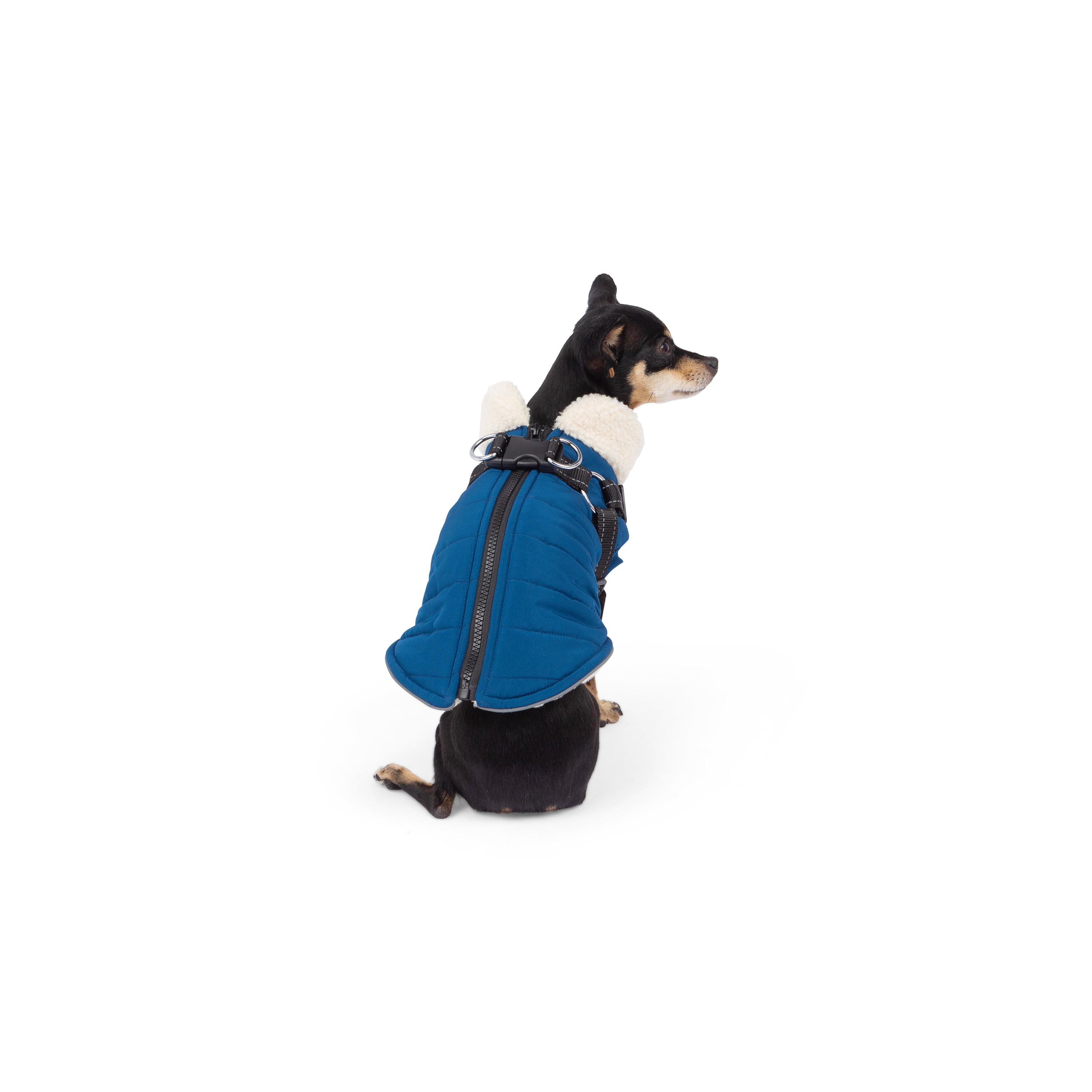 One Paw, Veste Matelassée Légère pour Chien avec Harnais, Bleu Marine Gilet matelassé léger avec harnais