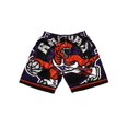 thumbnail image 1 of Raptors Retro Full Embroidered Zipper Pocket Pants, Basketball Dense Embroidered Shorts, Basketball Training Pants-HAPDEN, 1 of 3